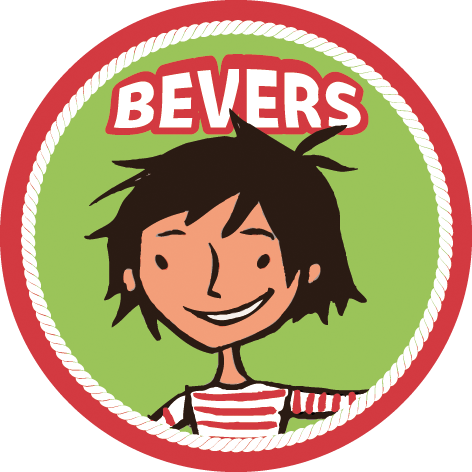 bevers